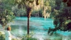It's an easy drive to Rainbow Springs from your InnHouse vacation home in Orlando.